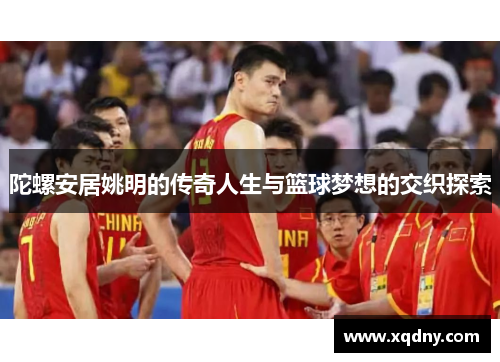 陀螺安居姚明的传奇人生与篮球梦想的交织探索