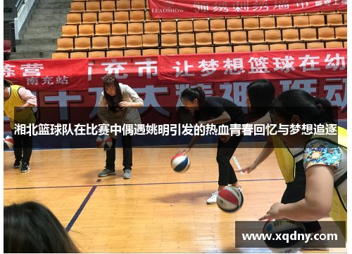 湘北篮球队在比赛中偶遇姚明引发的热血青春回忆与梦想追逐