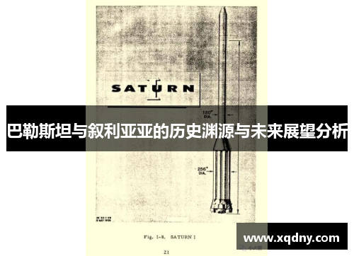 巴勒斯坦与叙利亚亚的历史渊源与未来展望分析
